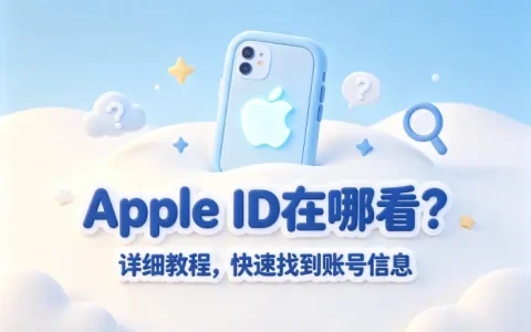 apple id在哪看详细教程快速找到账号信息